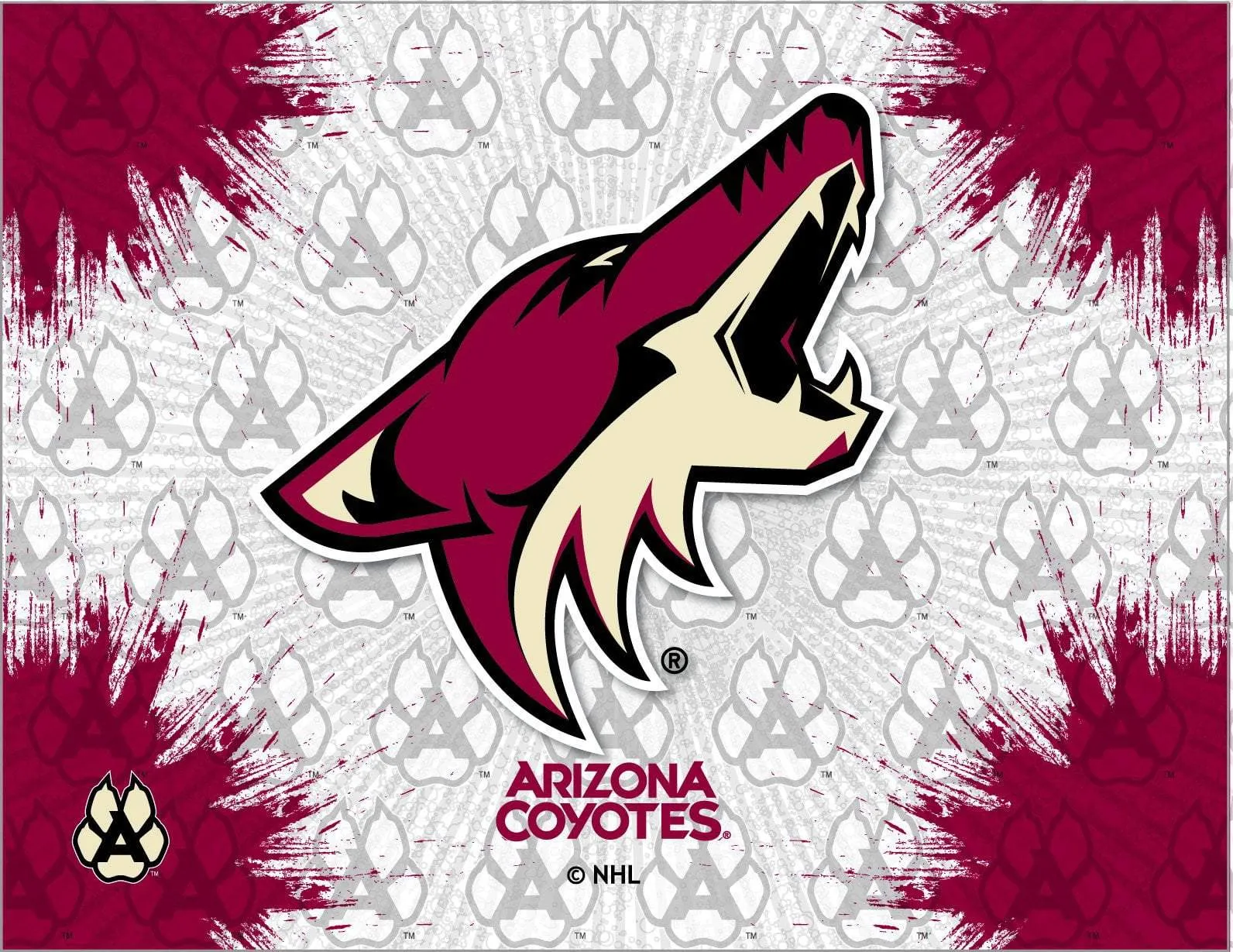 Arizona Coyotes HBS Gray Red Hockey Wall Canvas Art Picture Print