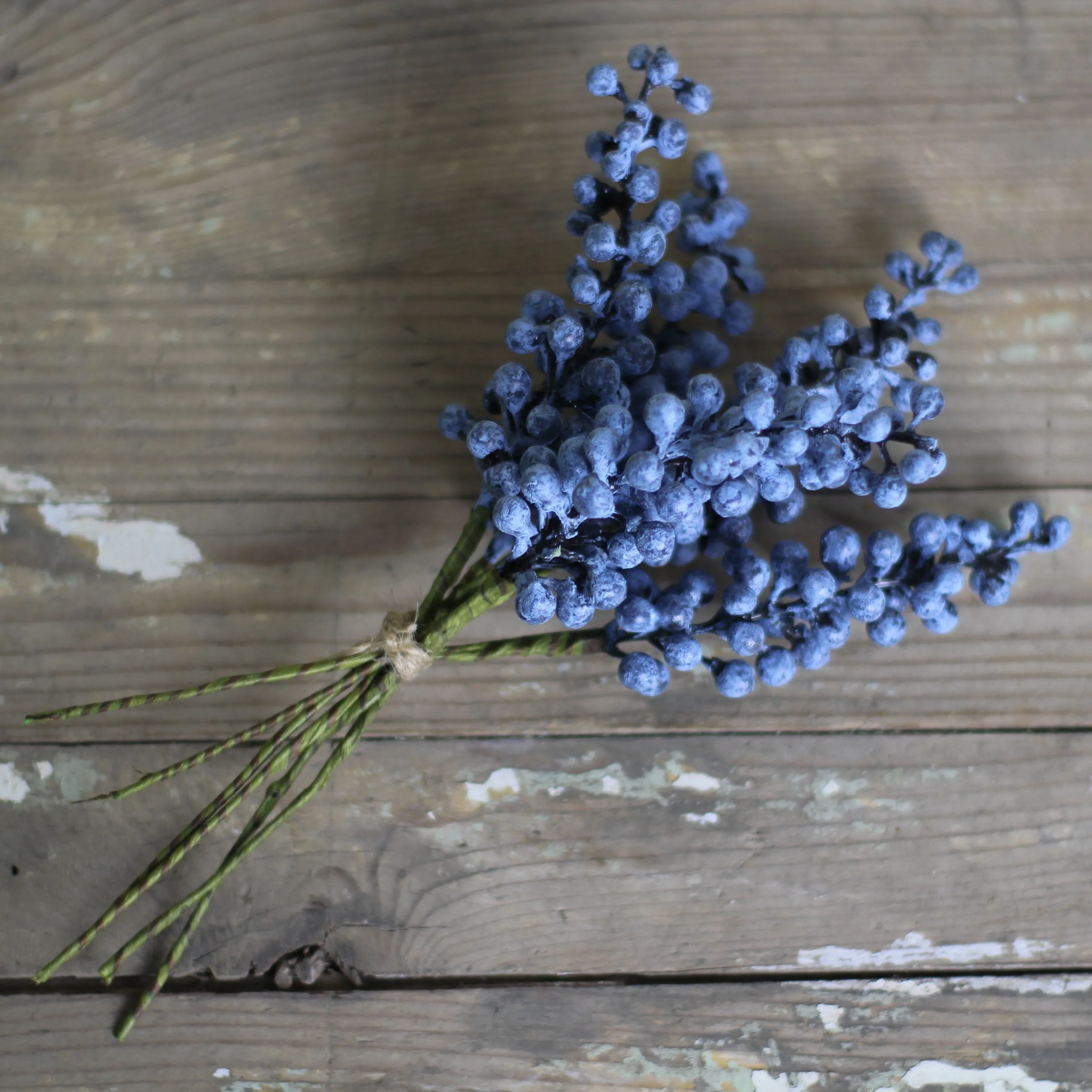 Blue Berry Bunch